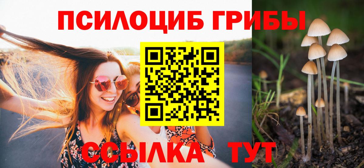 Усолье-Сибирское  Псилоцибиновые грибы Cubensis  Вход с VPN  Галлюциногенные грибы мицелий 